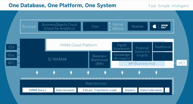 1-database-1-platform-1-system-future