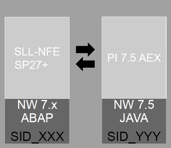 1 - SAP NF-e with SAP PI AEX